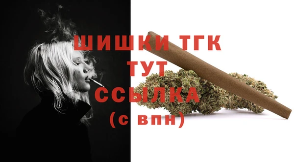 ECSTASY Губаха