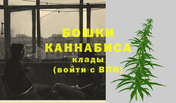 сатива Абдулино