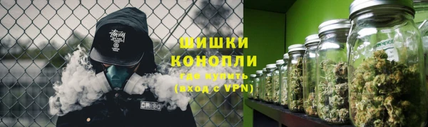шишки Алексеевка