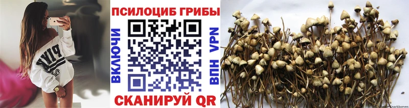 Галлюциногенные грибы Magic Shrooms  купить   Далматово 