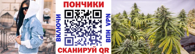 ОМГ ОМГ зеркало  Далматово  Каннабис конопля 